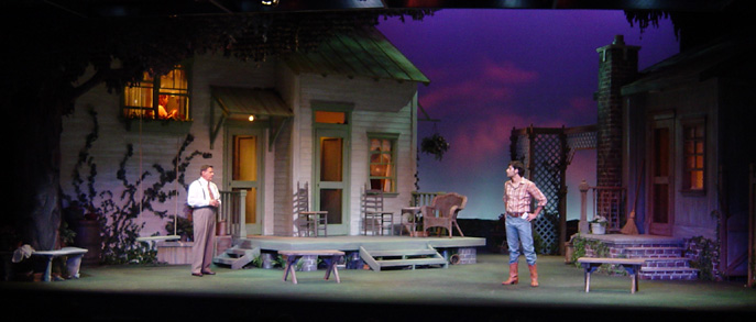 2005, "Picnic," Phoenix Theatre.